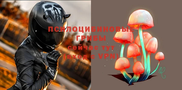 амф Магас