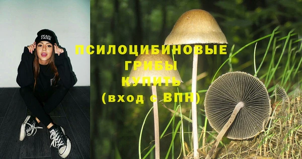 амф Магас