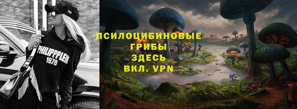 амф Магас